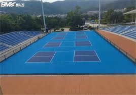 樊振东斩获留洋生涯第一冠 萨尔布吕肯德国杯决赛抡元